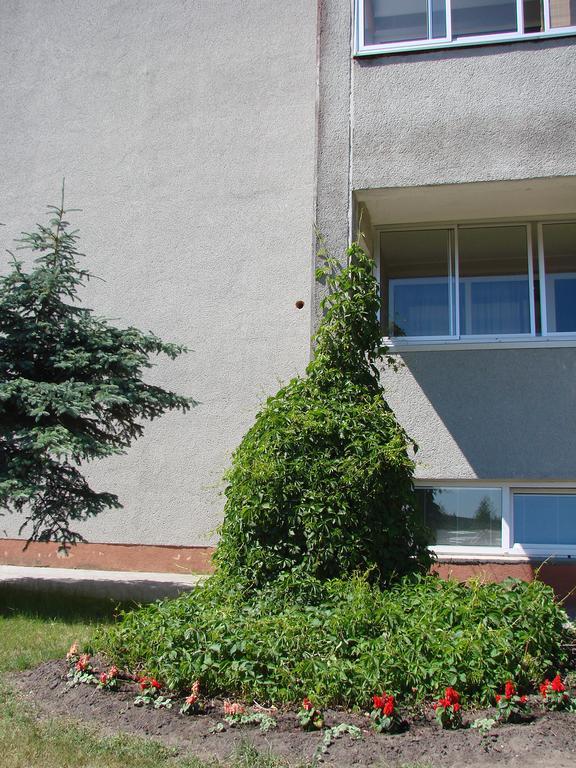 Hotel Pas Roma Šventoji Exterior foto